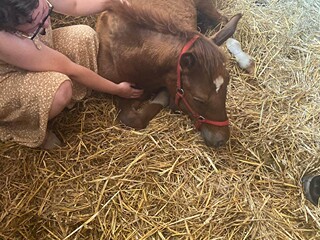 Terapia czaszkowo krzyżowa / cranio sacralna