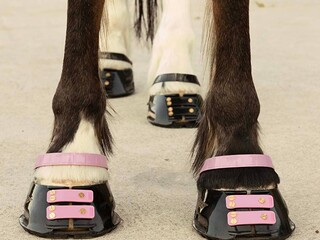 Buty dla konia Scootboot Classic - dobierzemy dla Was rozmiar