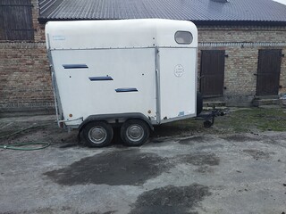 Sprzedam bukmanke