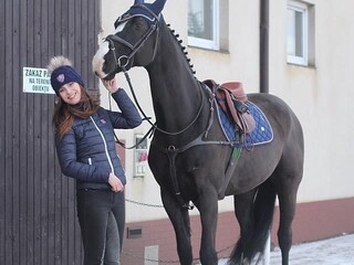 Kompleksowe usługi jeździeckie (zajeżdżanie/korekta, trening par, golenie)
