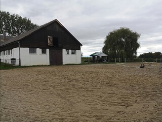 Wynajmę stajnię