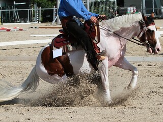 Równiarka podłoża jeździeckiego HUNTER REINING
