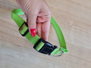 obroża dla psa, XL ( 52-60 cm), zielona, neonowa, używana