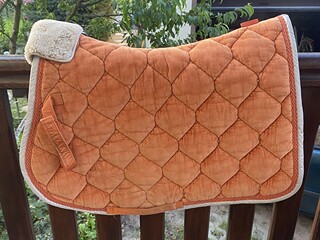 Czaprak eskadron velvet