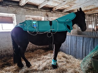 Wynajem derki magnetycznej BIOMAG CLINIC promo cena 110zl/zabieg