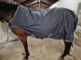 Horseware derka walker XL 50 g nowa