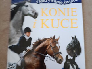 Konie i kuce