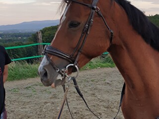 Rewelacyjna klacz po Balou du Rouet