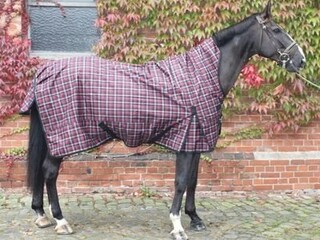 derka Jw Reitsport, r. 165 cm, 0 g, black/red, w kratkę, padokowa, przedłużana szyja, z polarem, NOWA