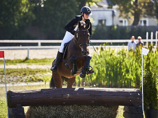 EquiAnn - Wszechstronny trening koni i jeźdźców (Szkoleniowiec JK SYSTEM)