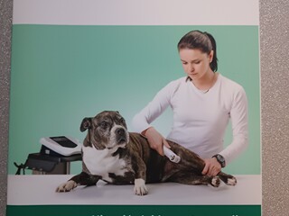 Ultradźwięki w weterynarii przewodnik metodyczny