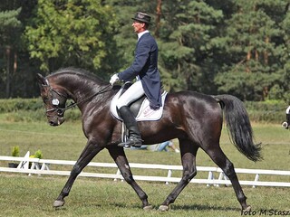 Stanówka ogier małopolski Jurand