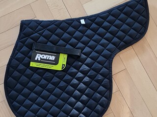 Nowy Czaprak skokowy