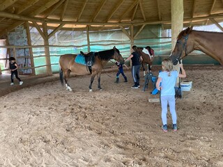 Zatrudnię Instruktora Jazy Konnej