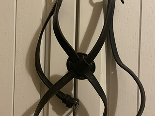 Nachrapnik meksykański