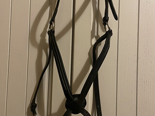 Nachrapnik meksykański naczółek