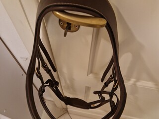 Ogłowie z cofniętą potylicą DYON