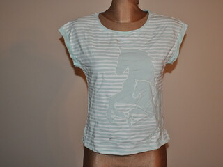 bluzka, koszulka, t-shirt Steeds, r. 152, biało-zielona, dziecięca, używana