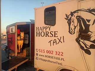 Transport Koni koniowozem - Happy Horse Taxi
