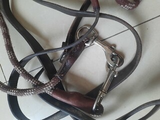 Czarna wodza QHP sznurkowa brązowa