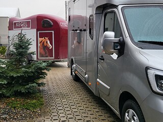 Transport koni - tylko długie trasy