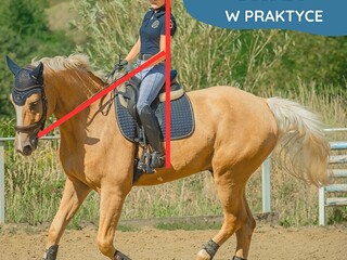 "Podstawy dosiadu w praktyce" - szkolenie online