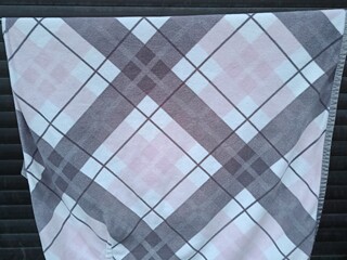 Eskadron derka powder rose L FS2017