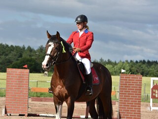 Stanówka 2025 FAKTOR - Lord/Landgraf/Contender