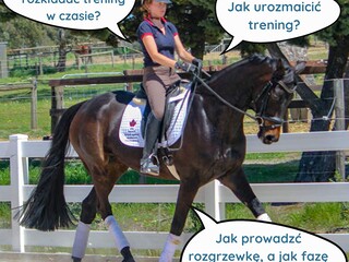 Podstawy treningu konia - szkolenie online
