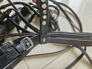 Ogłowie ujeżdżeniowe