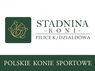 Zanim kupisz konia sprawdź go Dokładnie !!!