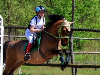 jazda konna, treningi sportowe, odznaki zawody