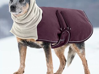 derka dla psa Sugar Dog Juniper, 200 g, S (42 cm), bordowa, ocieplana, NOWA