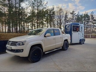 Transport koni przewóz