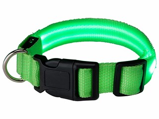 obroża dla psa, XL ( 52-60 cm), zielona, neonowa, używana(1)