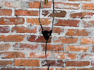 Napierśnik Podium biothane