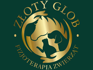 Fizjoterapia koni - małopolska