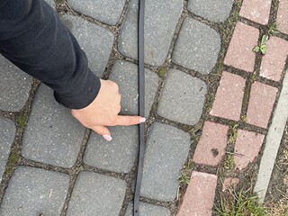 Skośniki czarne, brązowe