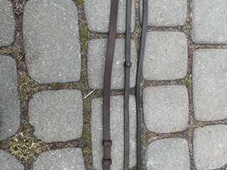 Podgardla