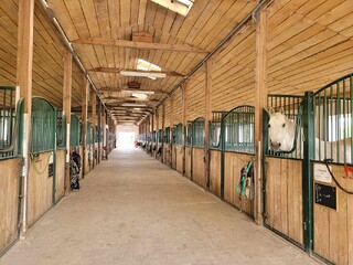 Pensjonat Stajnia Olender,  wolny boks.