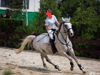 Sprzedam klacz małopolska