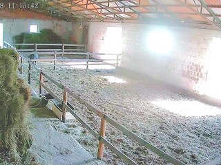 Przyjmę w pensjonat konie (najchętniej emerytowane, źrebne lub źrebaki)