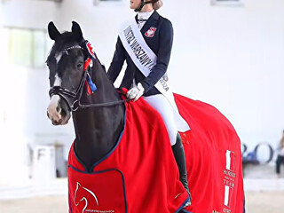 walach FEI na sprzedaz. Z wynikami w PSG