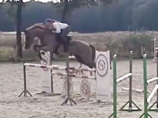 Szkoła Jazdy Konnej Silver Horse || Knurów, Gliwice i okolice ||