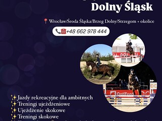 TRENING JEŹDŹCÓW I KONI - Wrocław/Środa Śląska/Brzeg Dolny/Wołów/Oborniki Śląskie/Trzebnica/Milicz i okolice!! INDYWIDUALNE I GR