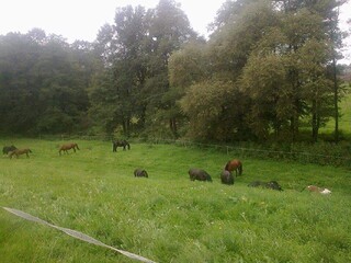 Wolne boky