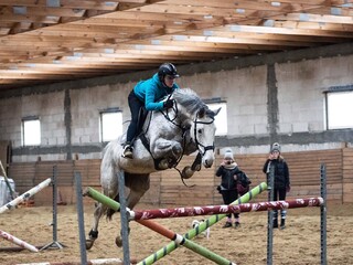 Arteria Tjungske/Arabeska klacz do hodowli/sportu