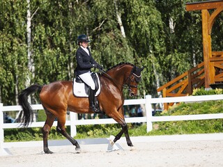 Treningi ujeżdżeniowe na terenie woj. mazowieckiego