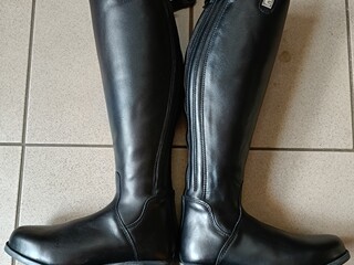 Cavallo Polar 39