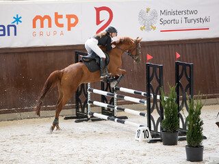 Przyjmę pary koń+jeździec, konie i jeźdźców w trening